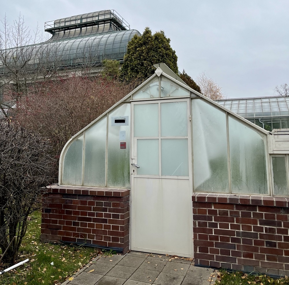 Nasze referencje - Sievert Polska Palmiarnia w Wałbrzychu